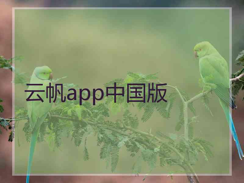 云帆app中国版